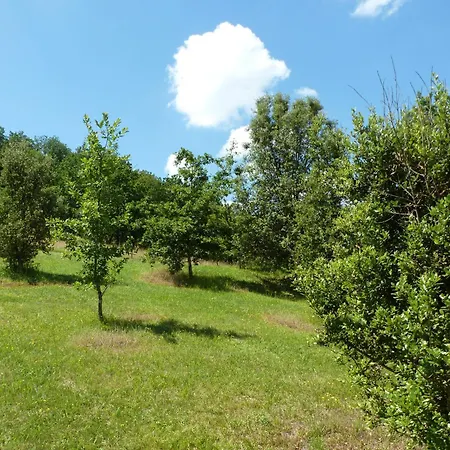 La Colline Truffiere * Sourzac